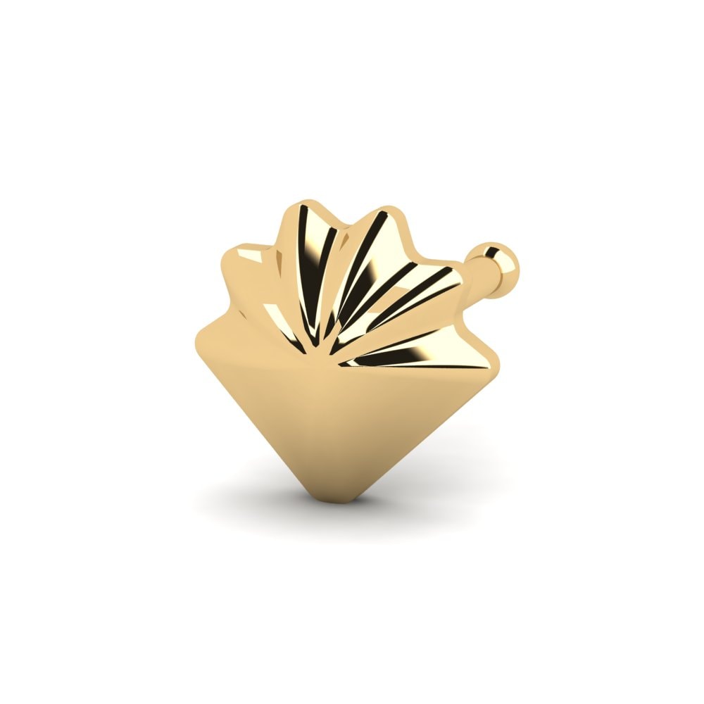 18K Geel Goud Neus Pin Caniti