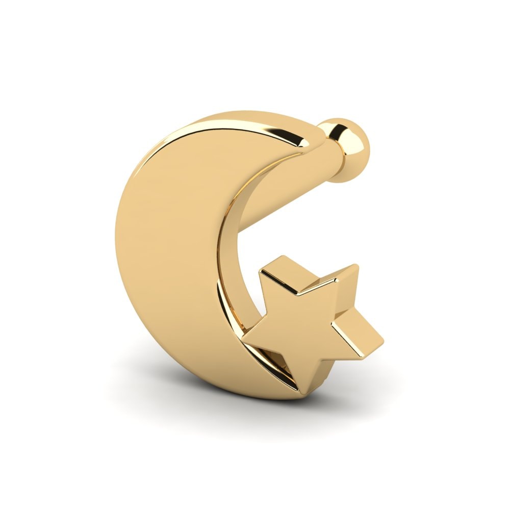 18K Geel Goud Neus Pin Naneber