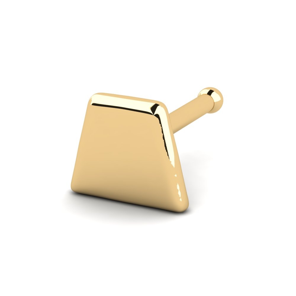 18K Geel Goud Neus Pin Nrolhcaeb