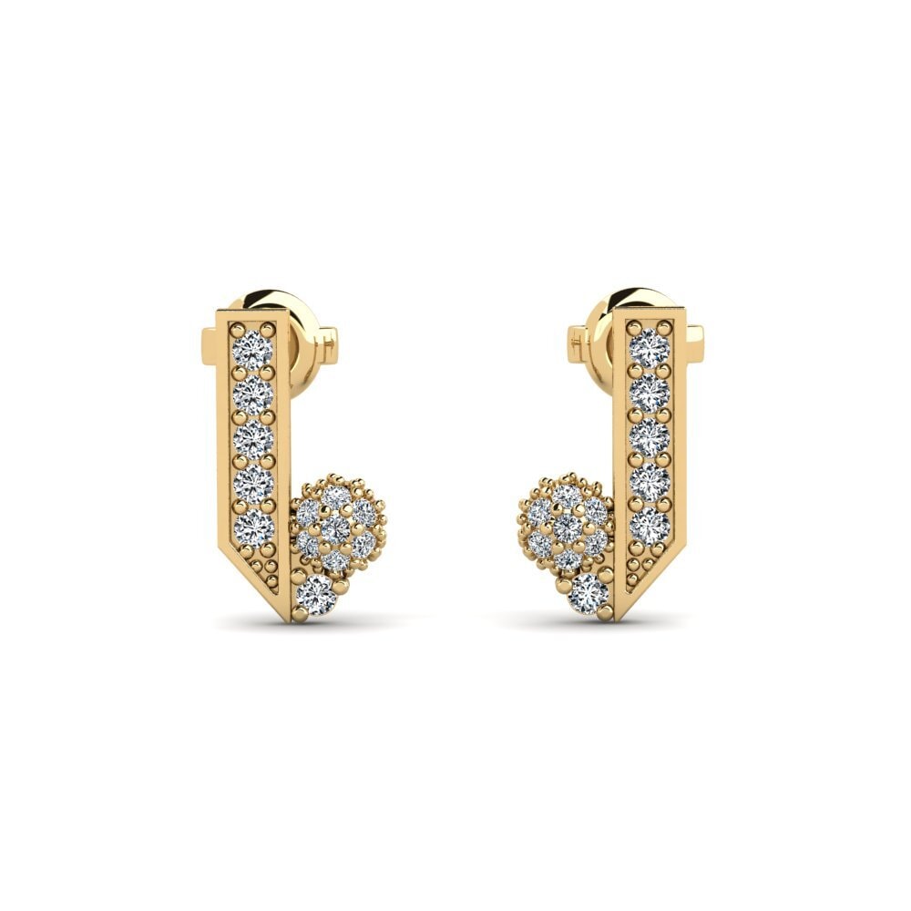 Zirconia Women's Earring Begeisterung