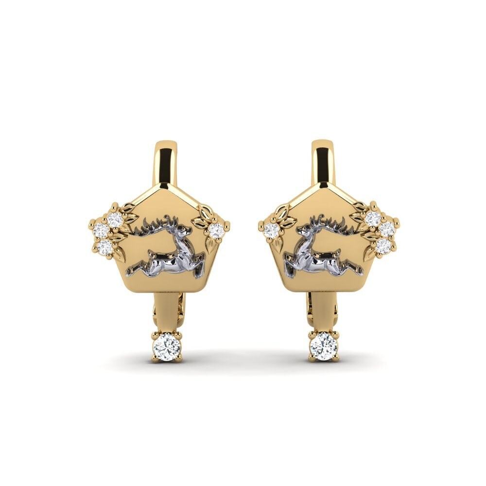 Vàng-Trắng 14K Đá Zirconia Bông tai nữ Chiaroscuro