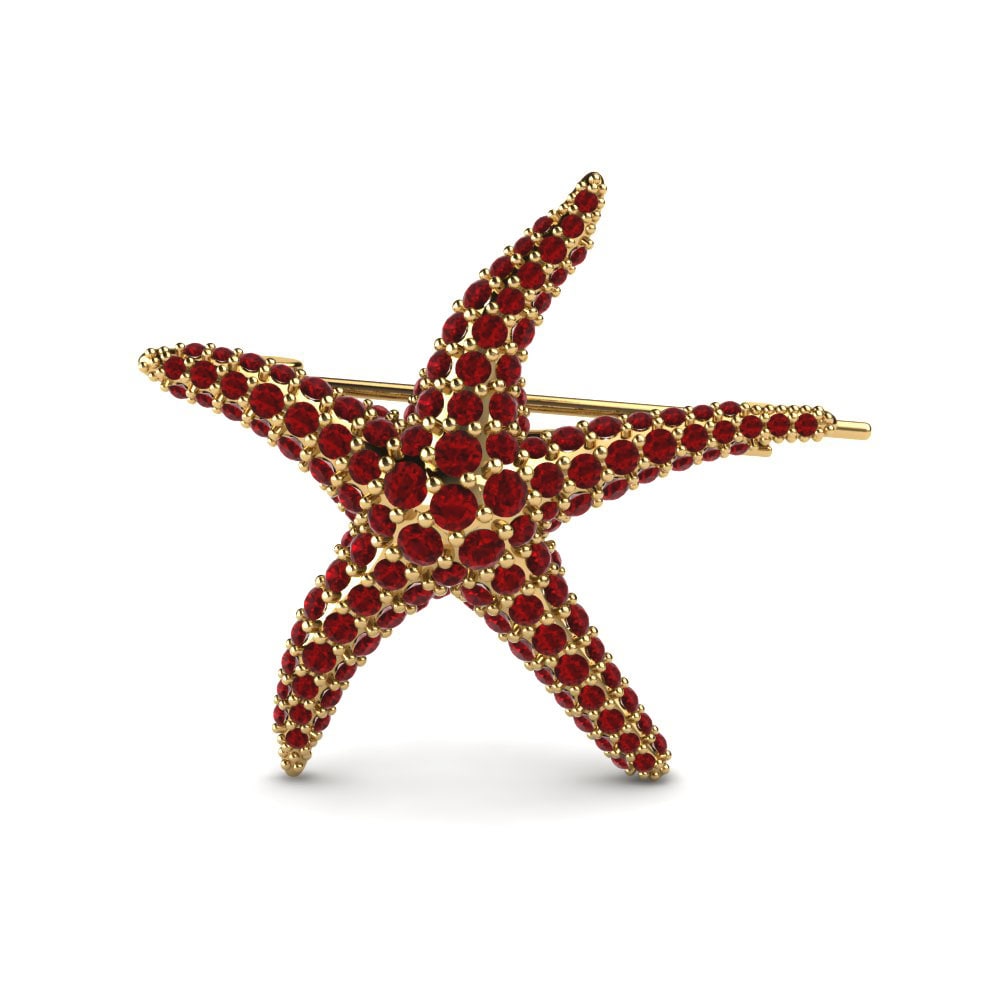 14ct Yellow Gold Red Zirconia Brooch Asteroid