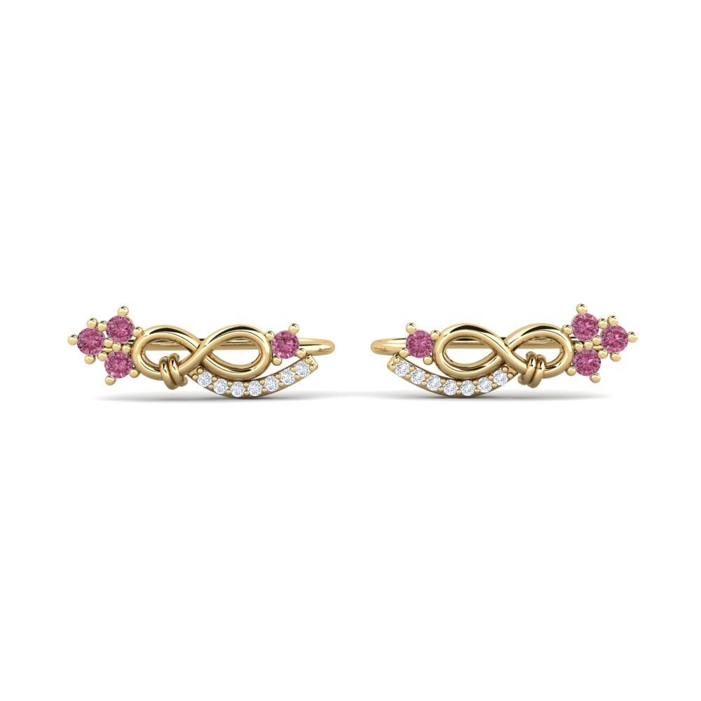 Rhodolite Garnet Women's Earring Aikya