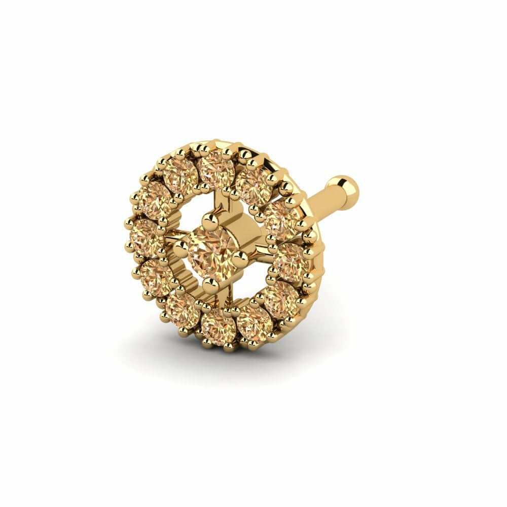Bruine Diamant Neus Pin Leach