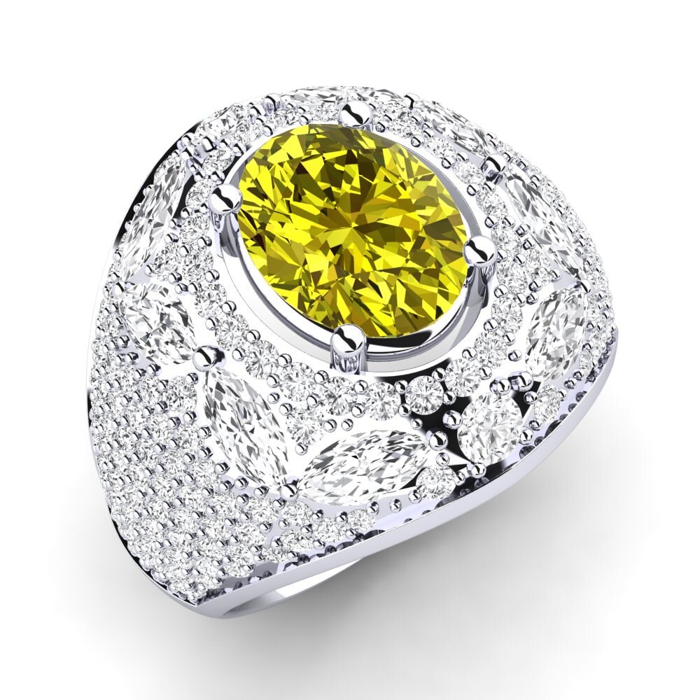 Anillo Timonie