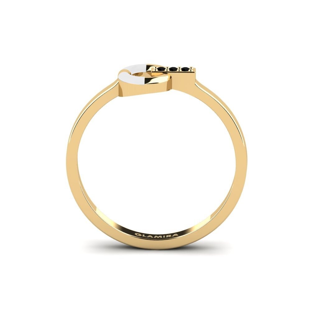 Schwarzer Onyx Ring Theoretically