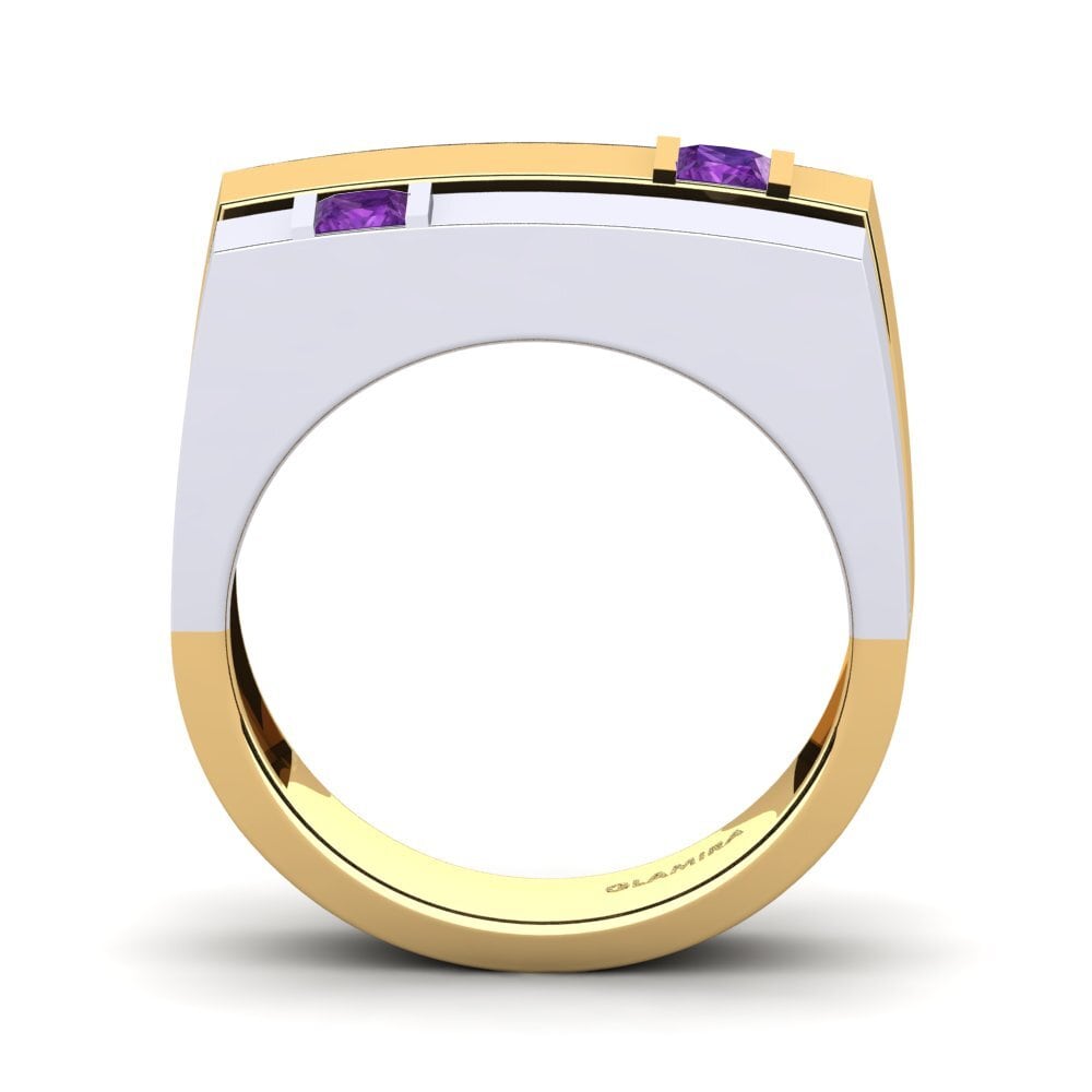 14ct Yellow & White Gold Amethyst Men's Ring Admetus