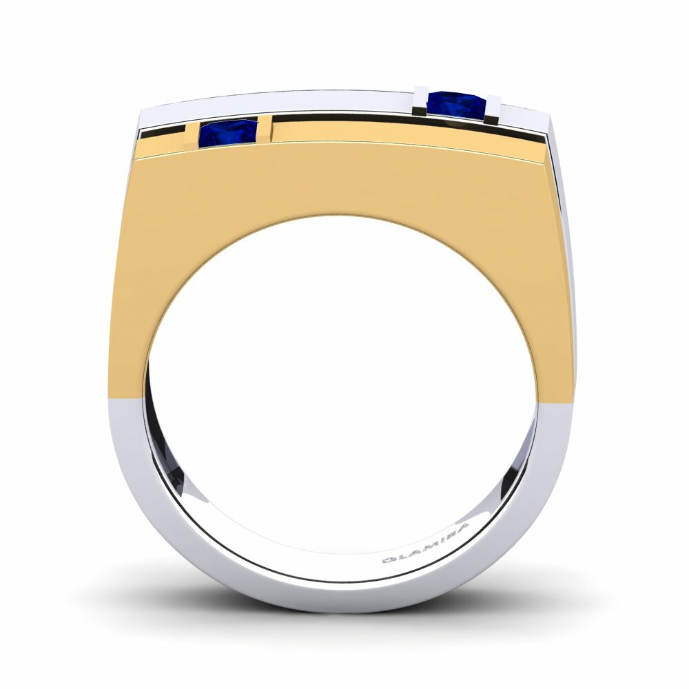 18ct White / Yellow Gold Men's Ring Admetus