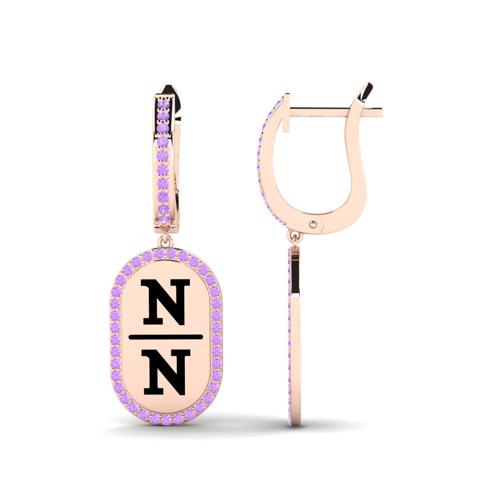 Amethyst Women's Earring Agamy