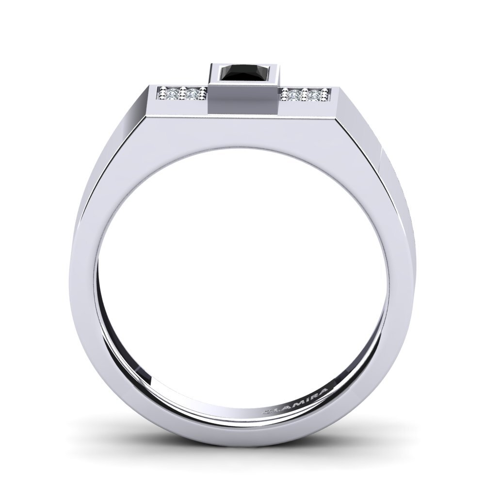 9ct White Gold Black Onyx Men's Ring Cledwyn