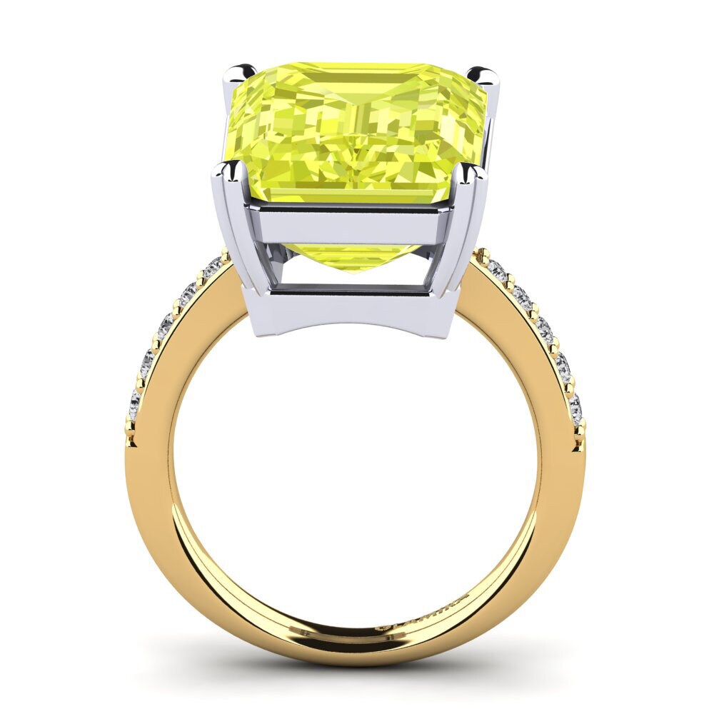 18ct Yellow / White Gold Ring Darcie