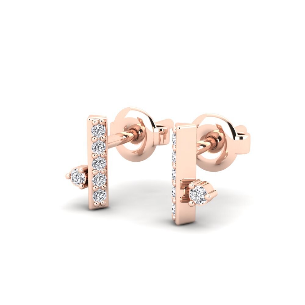 14k Rose Gold Women's Earring Benoit
