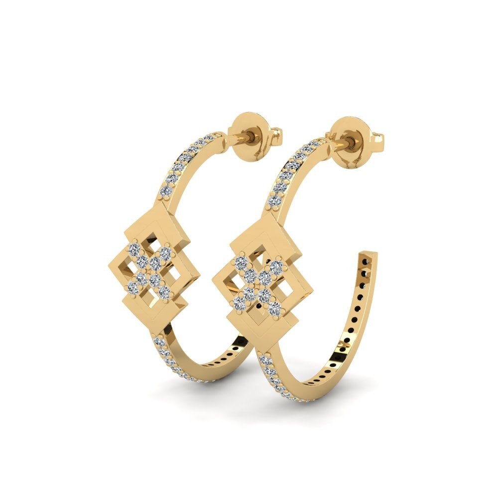 diamond-zirconia ต่างหู Prudishness