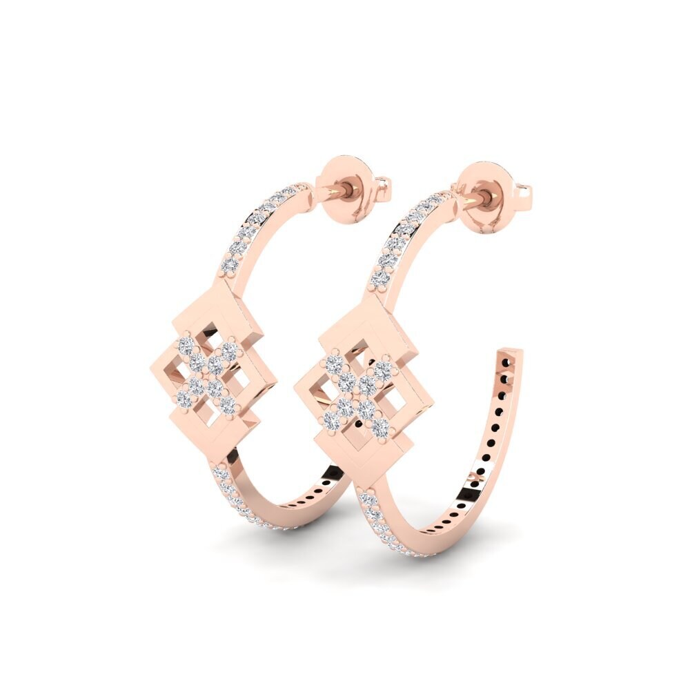 14k Rose Gold Women's Earring Prudishness