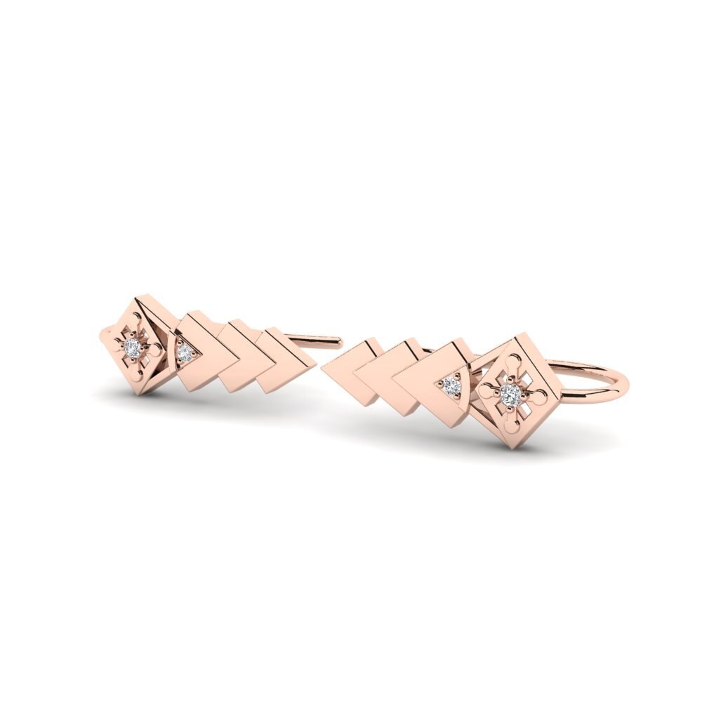 14k Rose Gold Women's Earring Robixo
