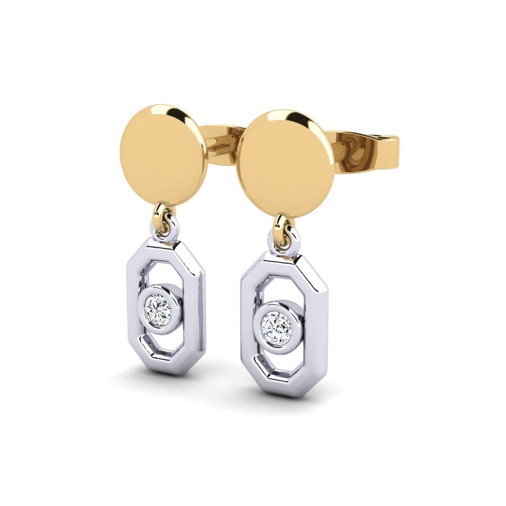 14ct Yellow & White Gold Women's Earring Aelpma