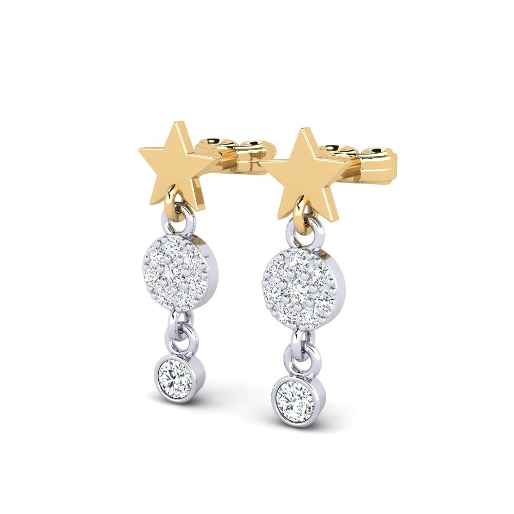 14ct Yellow & White Gold Women's Earring Lenyyse