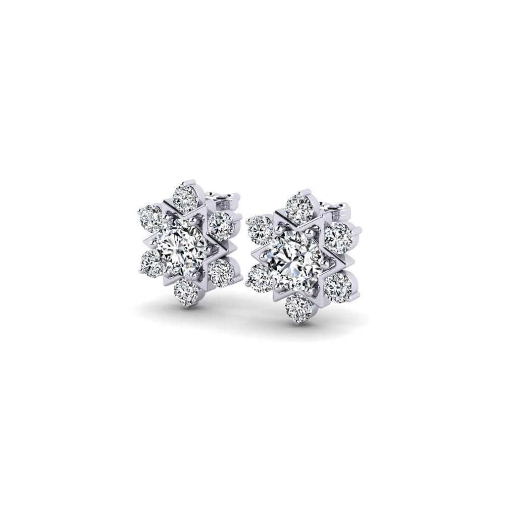 Women's Earring Brochan