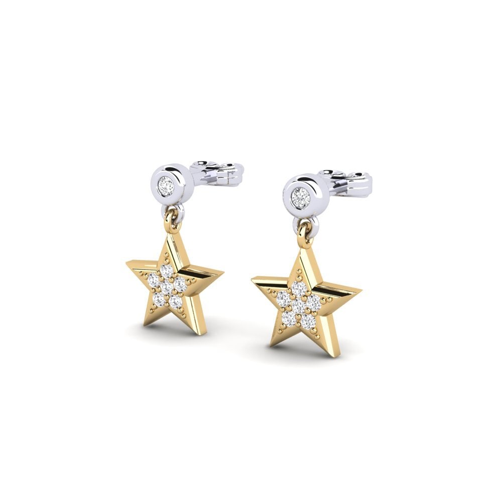 14ct Yellow & White Gold Women's Earring Behangelig