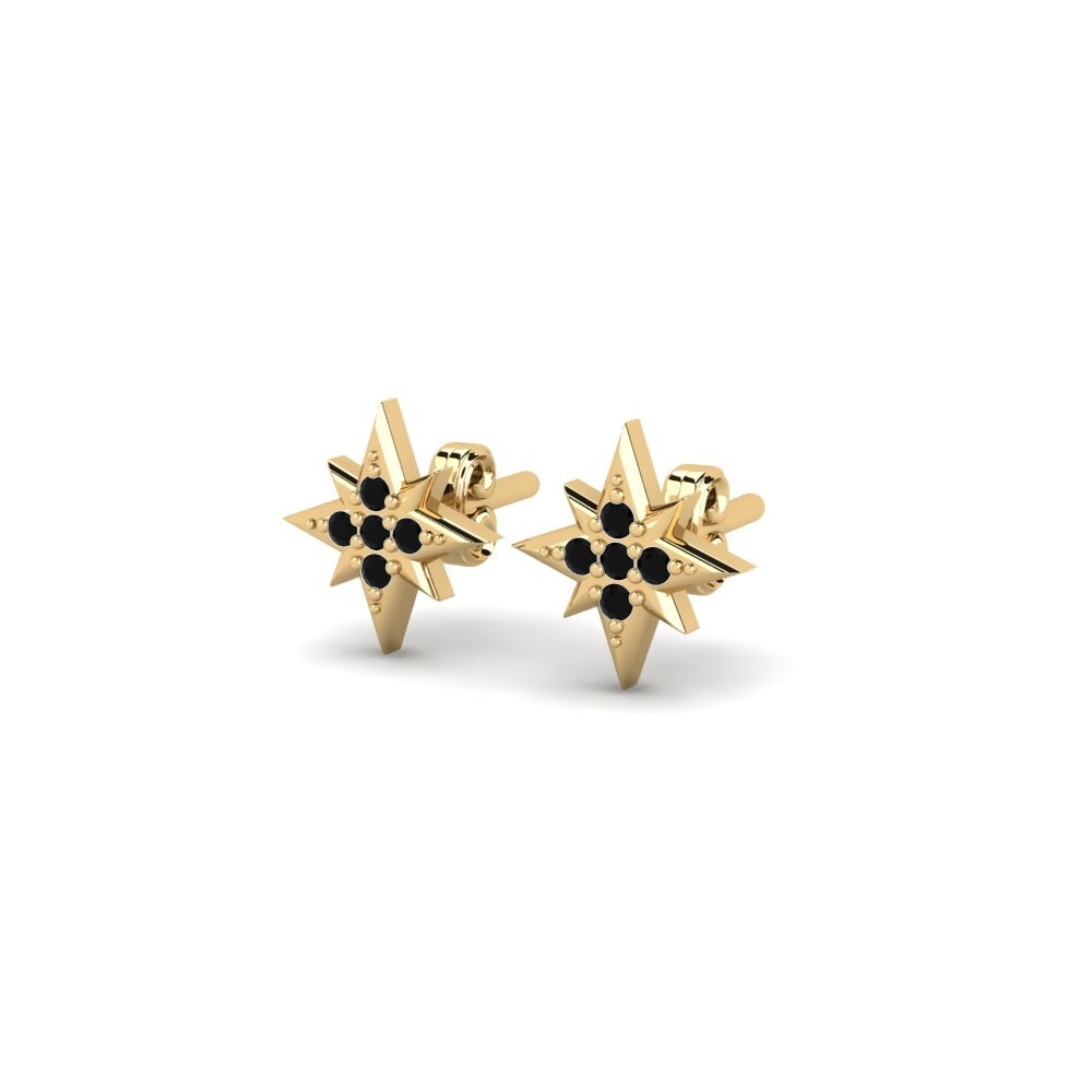 Black Diamond Women's Earring Peleta