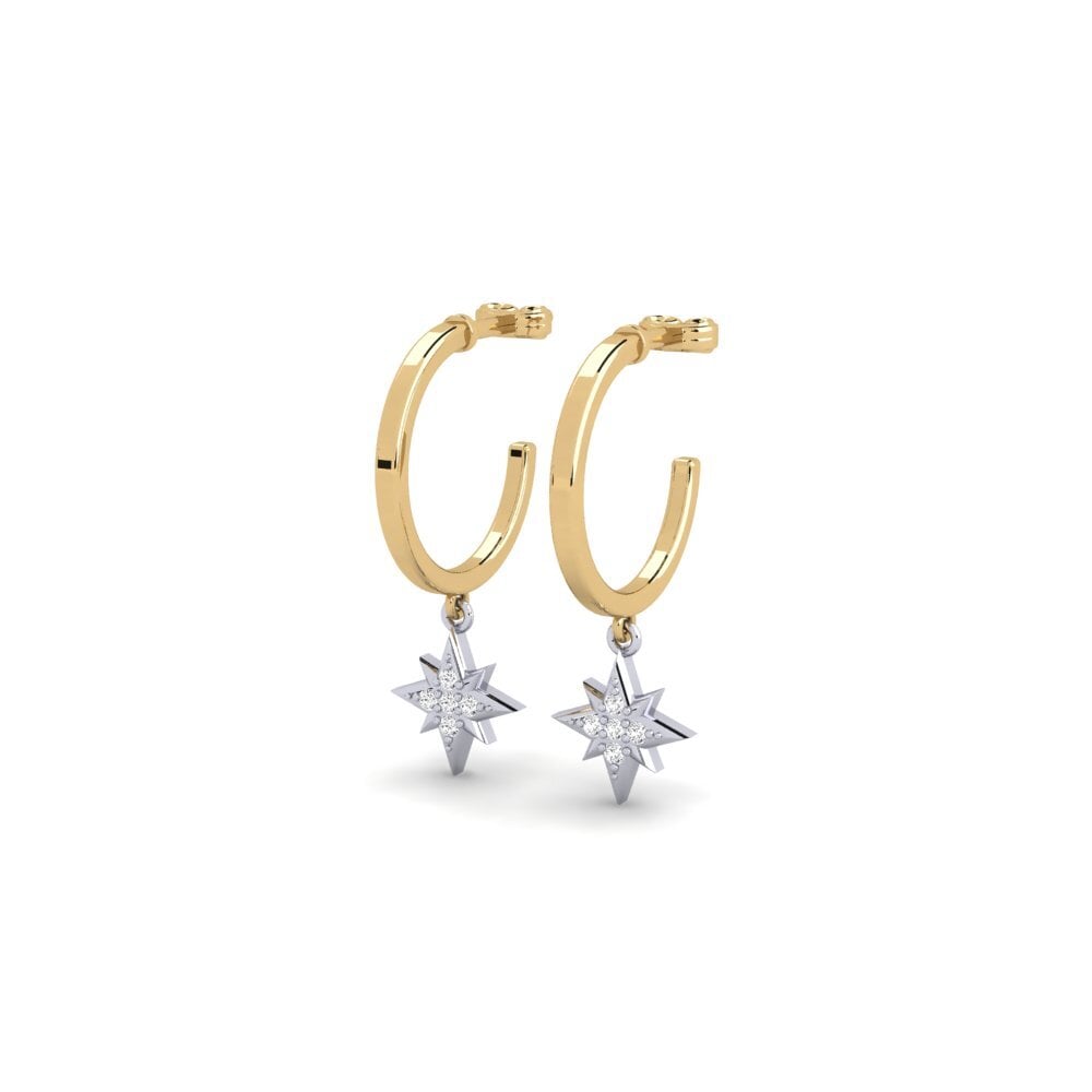 14ct Yellow & White Gold Women's Earring Starhill