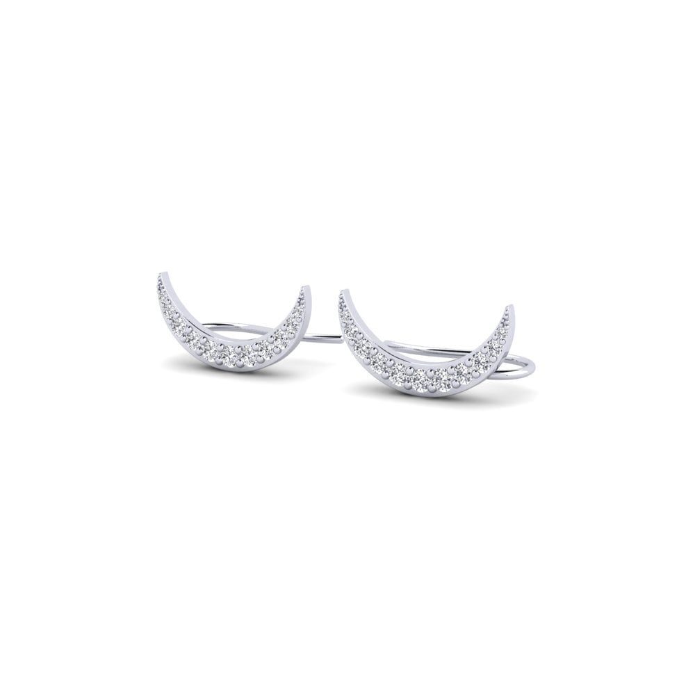 950 Palladium Women's Earring Pagalba