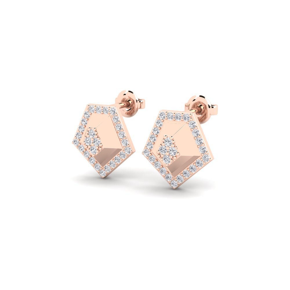 14k Rose Gold Women's Earring Lunarcycle
