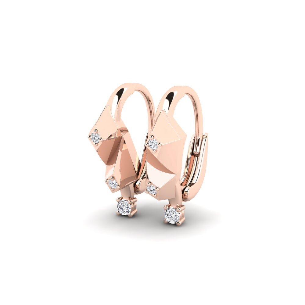 14k Rose Gold Women's Earring Richting
