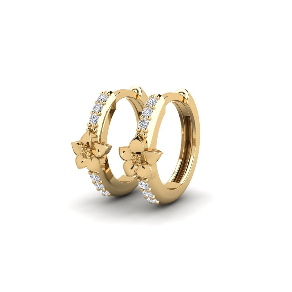 Brown Diamond Women's Earring Exchange