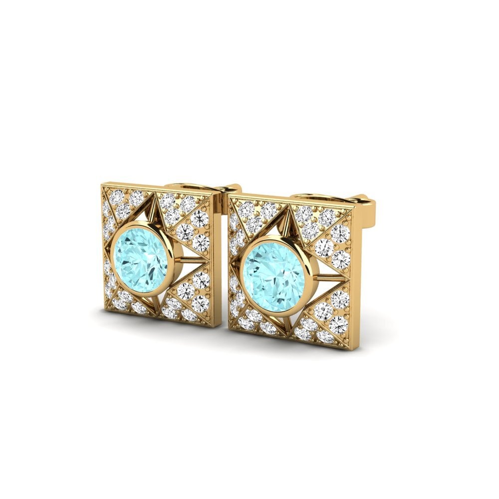 14ct Yellow Gold Aquamarine Women's Earring Dodrio