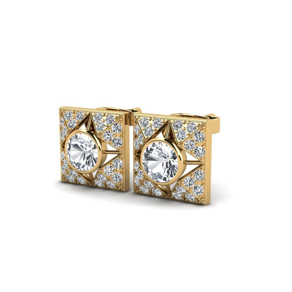 14ct Yellow Gold White Zircon Women's Earring Dodrio