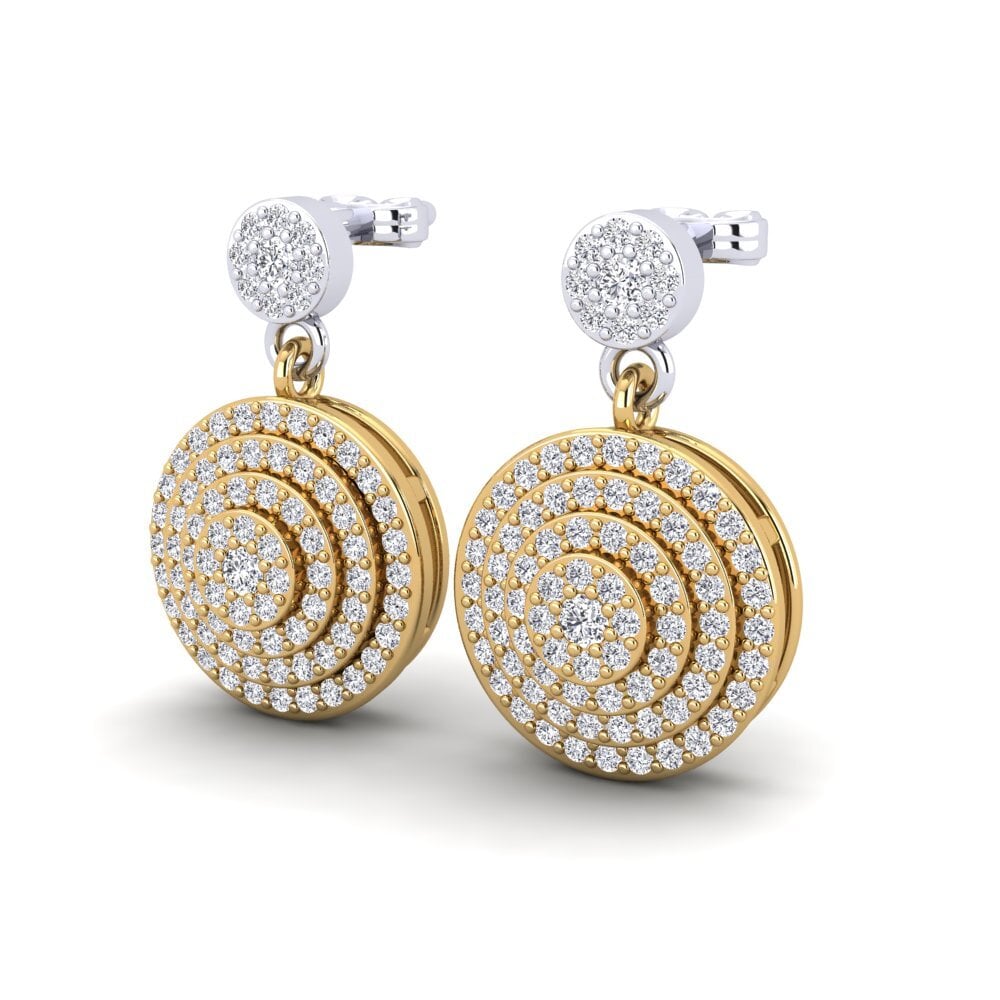 9ct Yellow & White Gold Women's Earring Hadubert