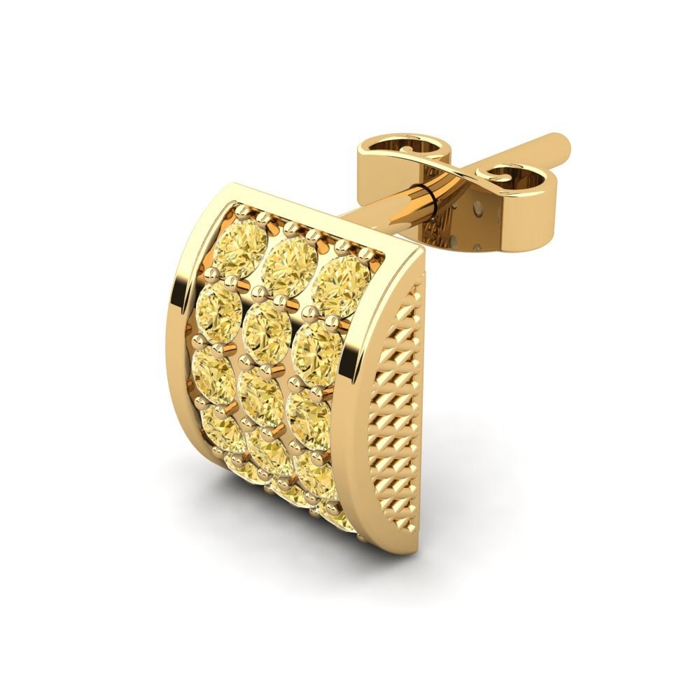 Žlutý diamant Pánské náušnice Huntail