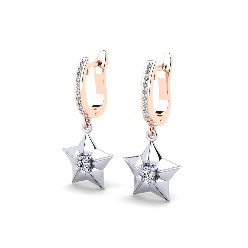 14ct Rose / White Gold Women's Earring Chutess