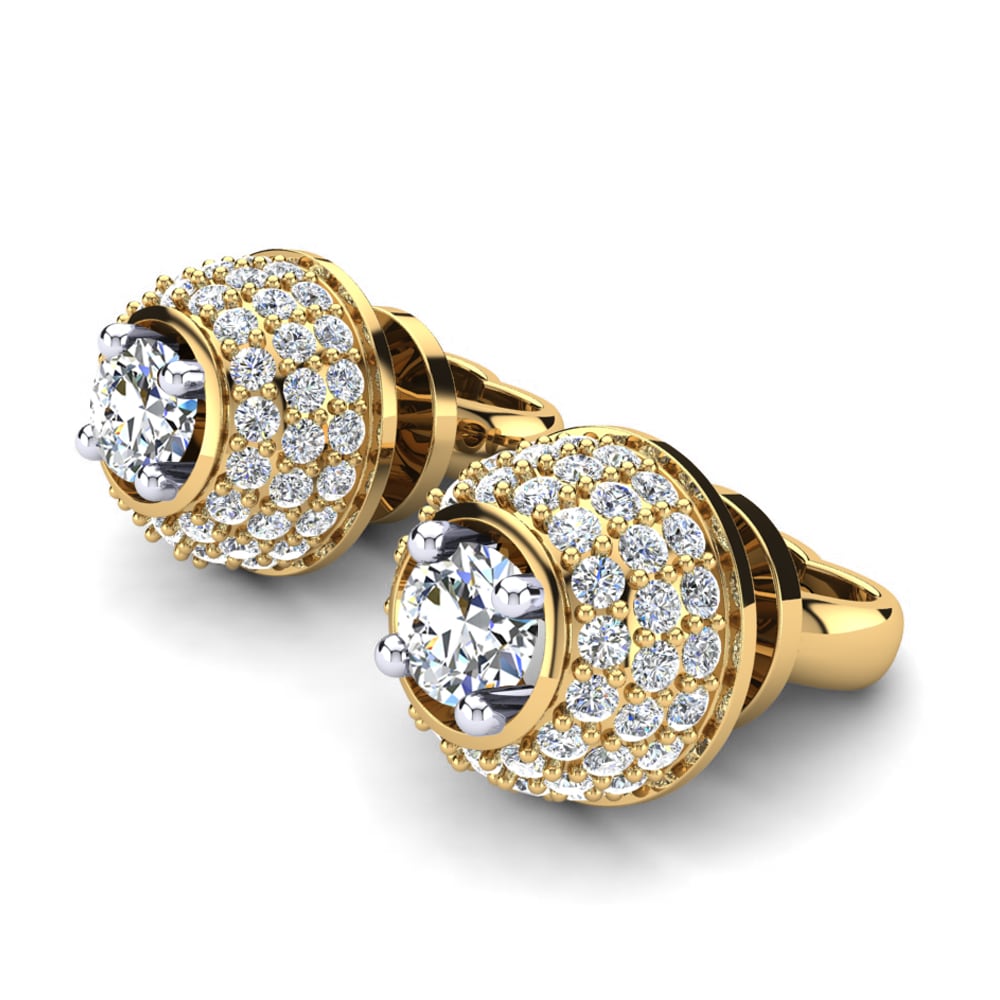 14ct Yellow / White Gold Women's Earring Loenarda