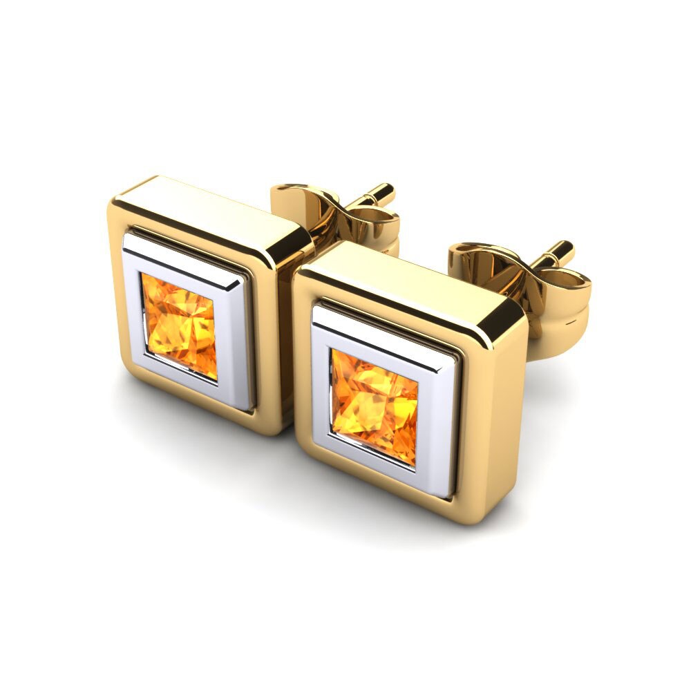 14ct Yellow & White Gold Citrine Women's Earring Ayame
