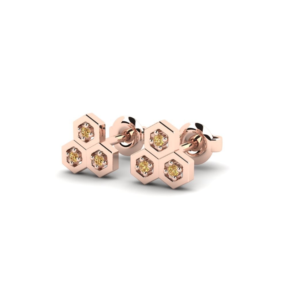 14k Rose Gold Women's Earring Agionasomaton