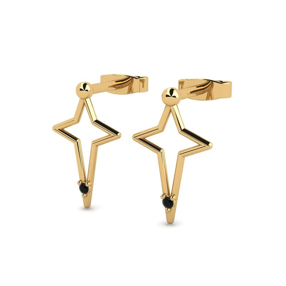 14ct Yellow Gold Women's Earring Asbition