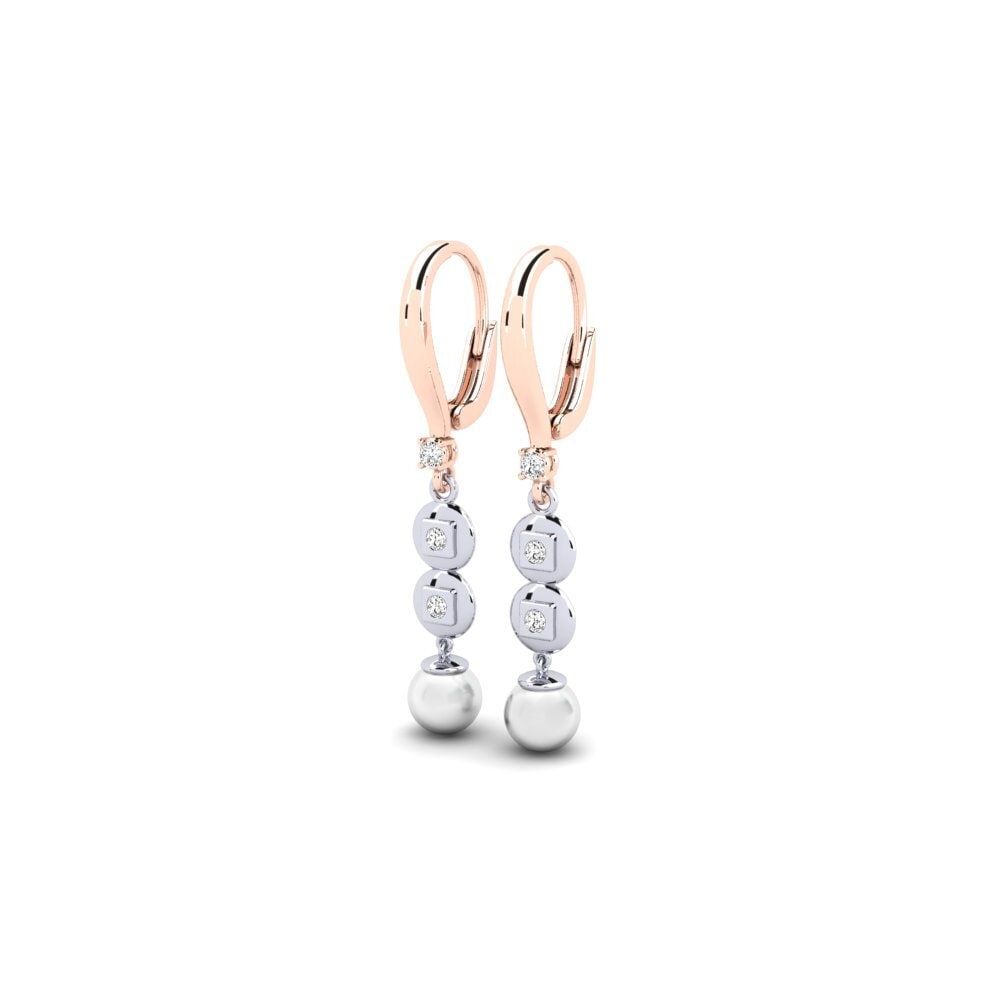 9ct Rose & White Gold Moissanite Women's Earring Atyason