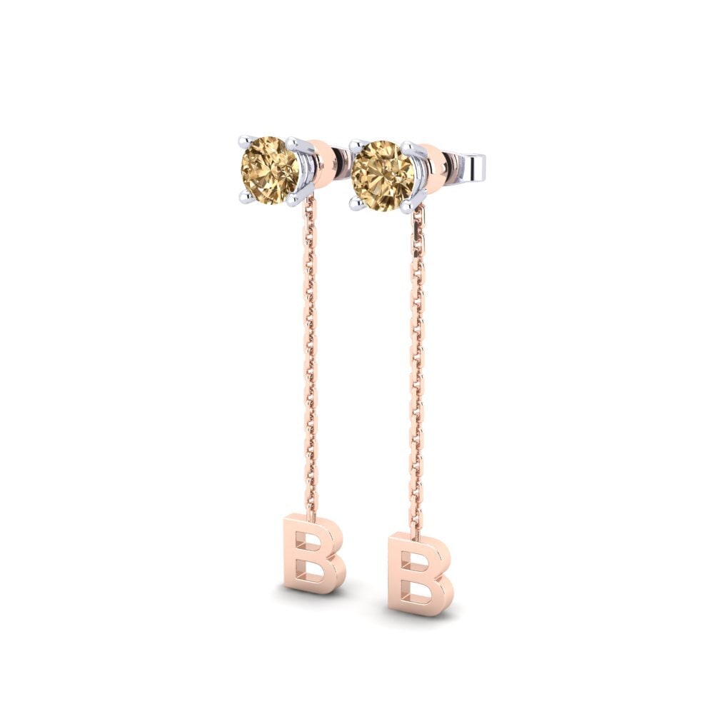 Brown Diamond Women's Earring Aundrea B