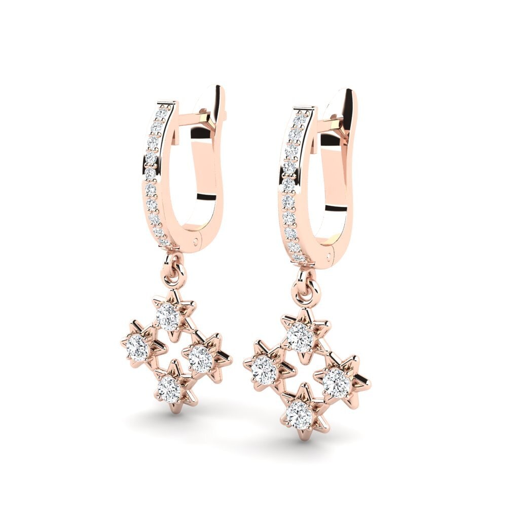 Women's Earring Brag