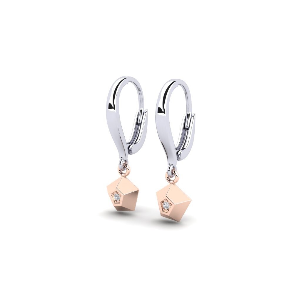 14k White & Rose Gold Women's Earring Dustclouden