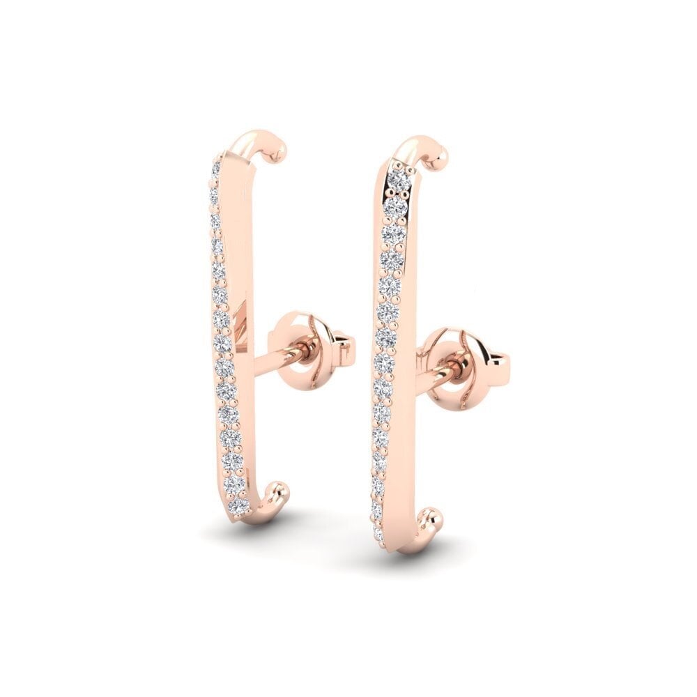 14k Rose Gold Women's Earring Gobal