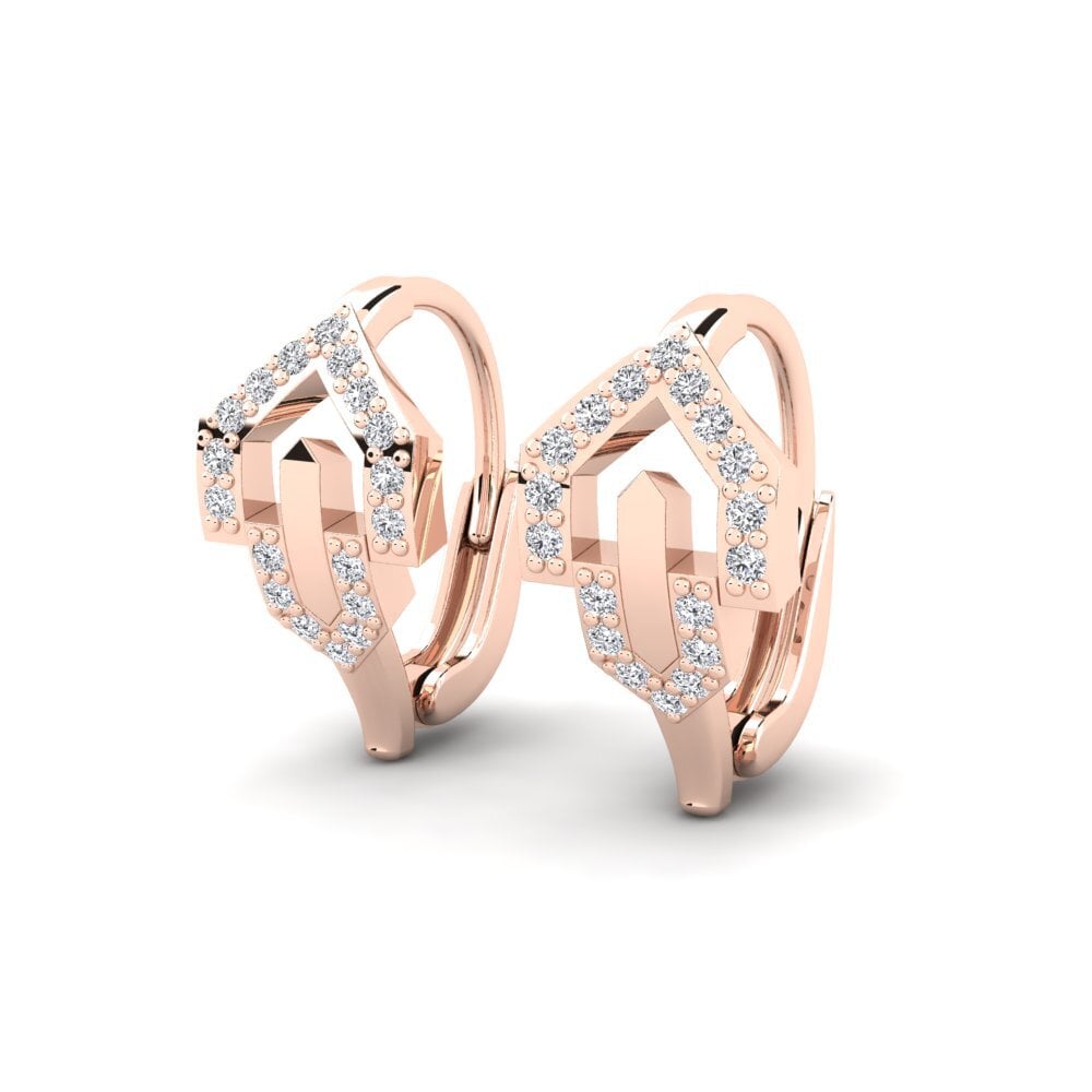 14k Rose Gold Women's Earring Prejudice
