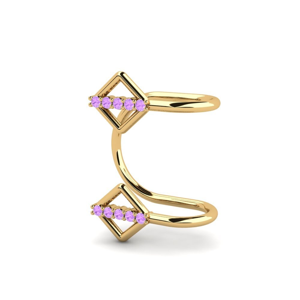 Amethyst Women's Earring Roddy