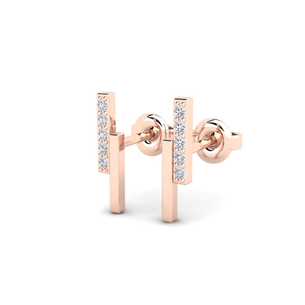 14k Rose Gold Women's Earring Toutp