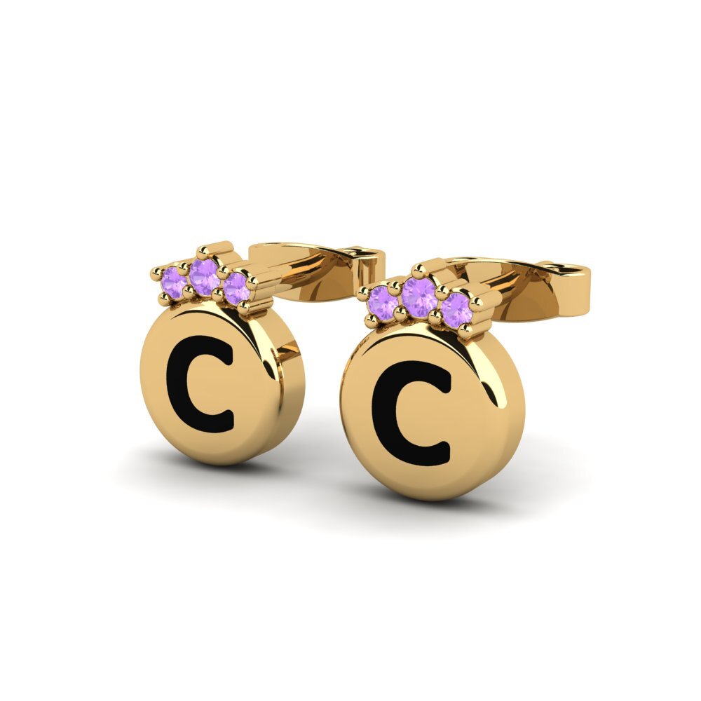 Amethyst Women's Earring Vanita C